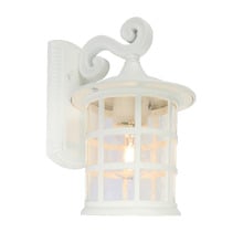 Indra 1 Light Exterior Wall Light